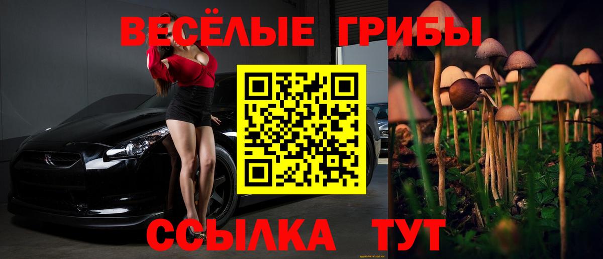Псилоцибиновые грибы ЛСД Королёв